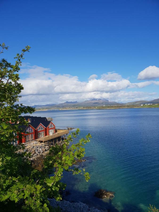 Olav Bua Villa Leknes Bagian luar foto